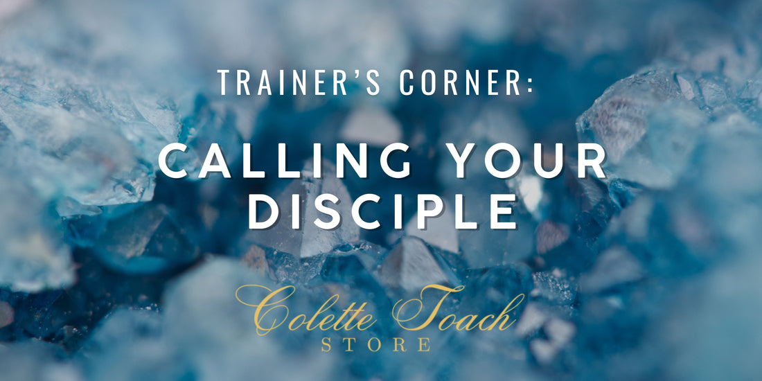Calling Your Disciple Into Mentorship