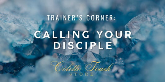 Calling Your Disciple Into Mentorship