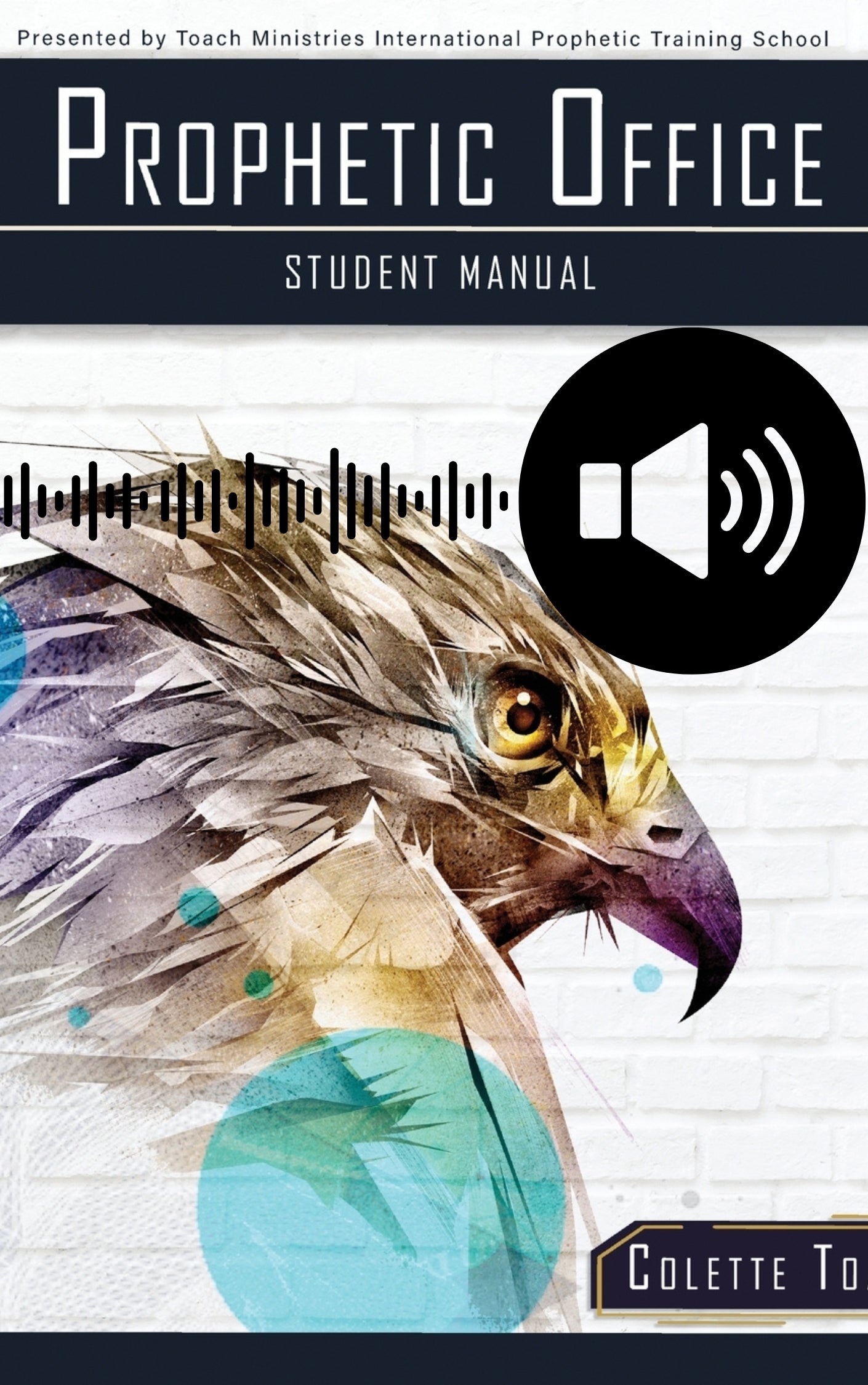 Individual Prophetic School Audio Series