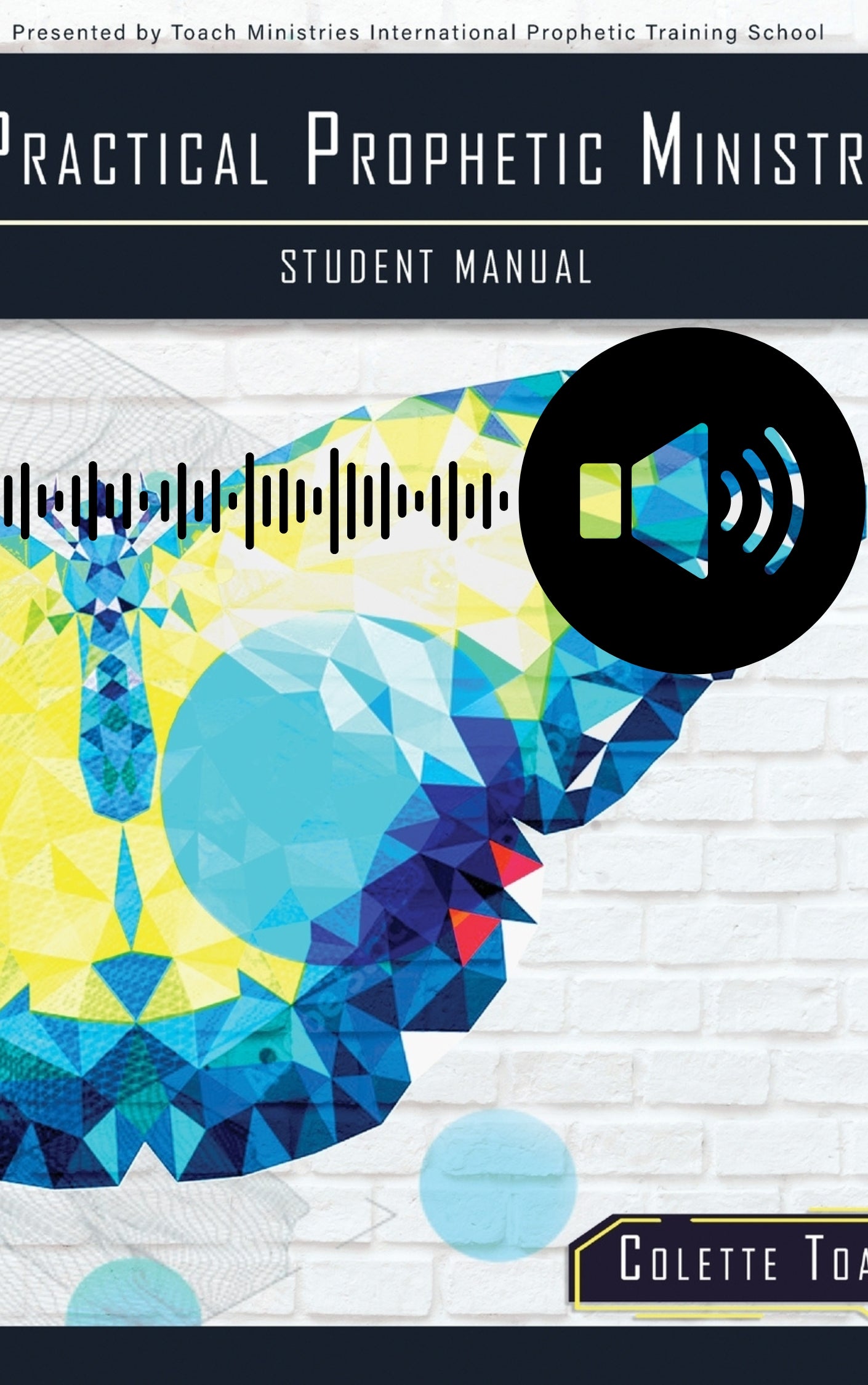 Individual Prophetic School Audio Series