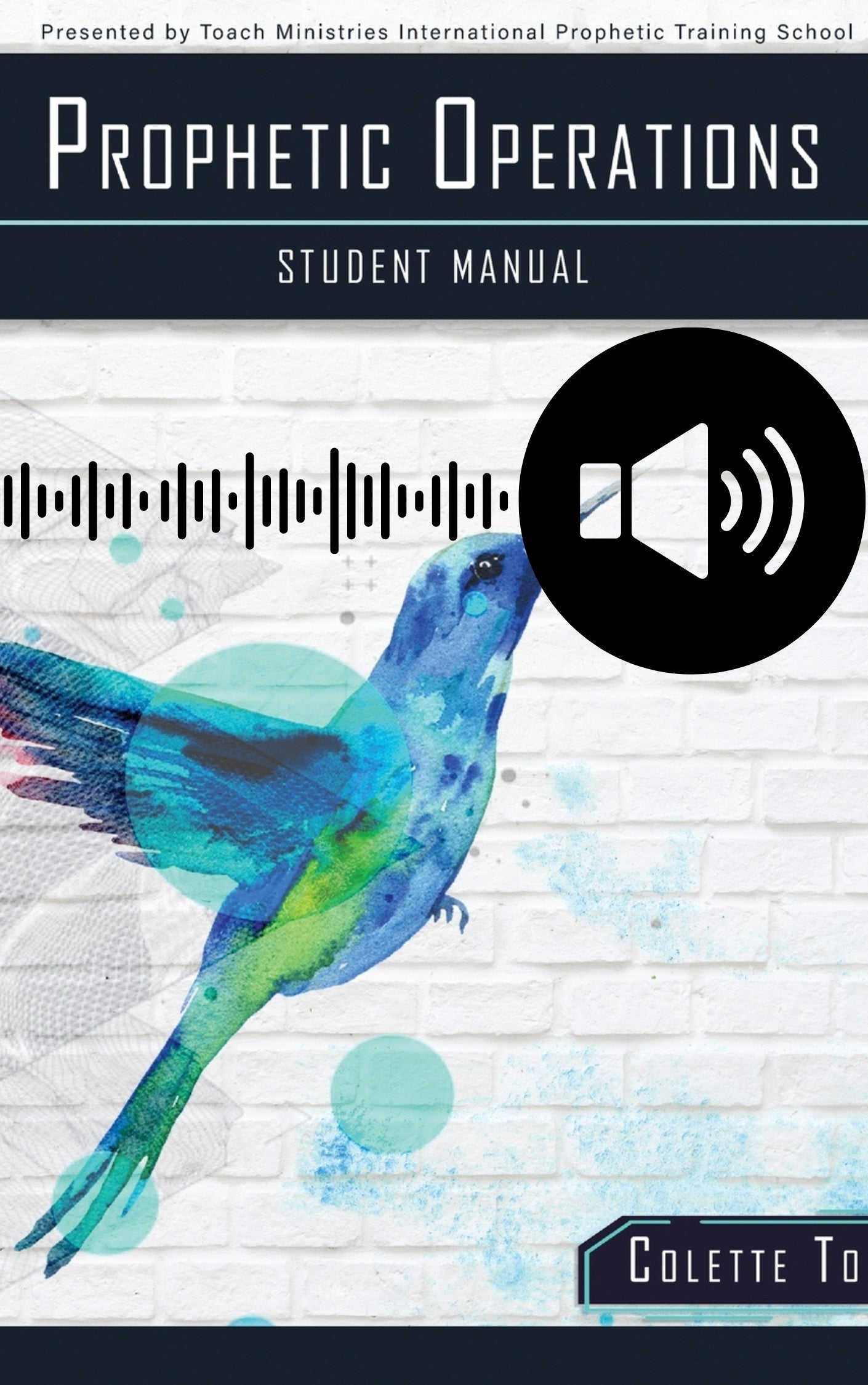 Individual Prophetic School Audio Series