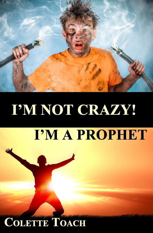 I'm Not Crazy - I'm a Prophet