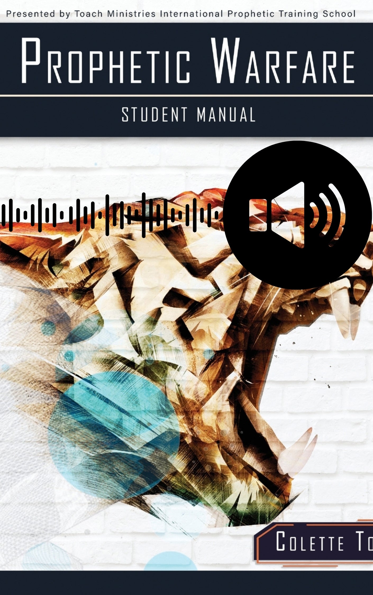 Individual Prophetic School Audio Series
