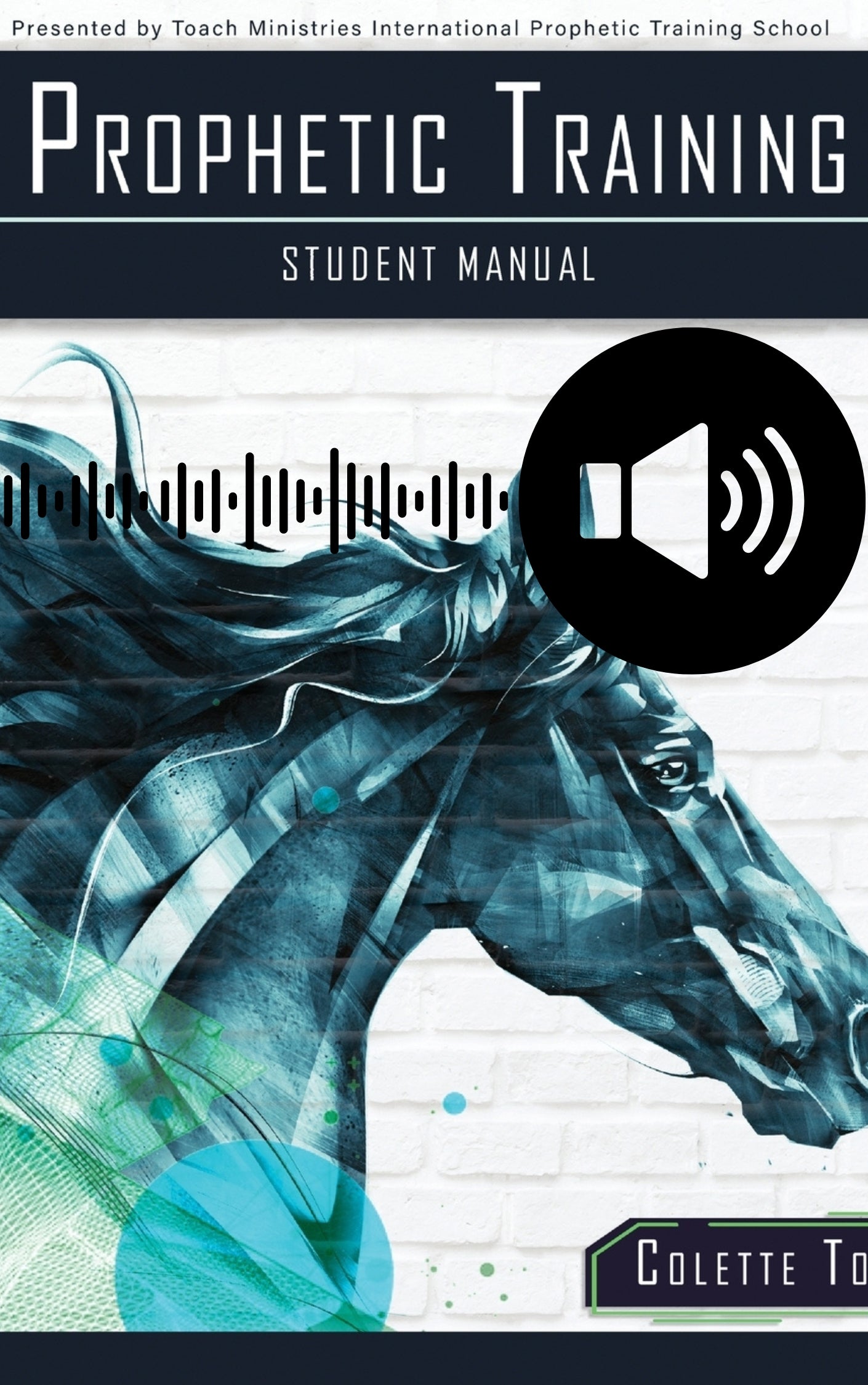 Individual Prophetic School Audio Series