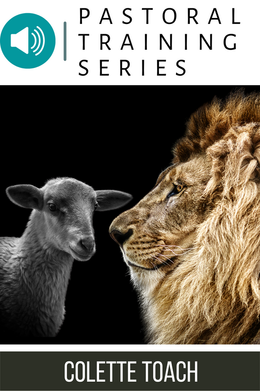 Pastoral Training Series